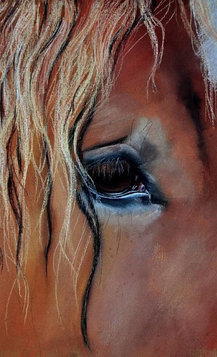 cheval detail 4.jpg - Pastel 40x30